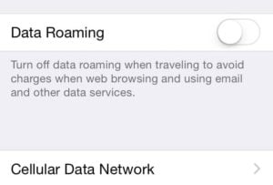 cellular data network enabled iPhone