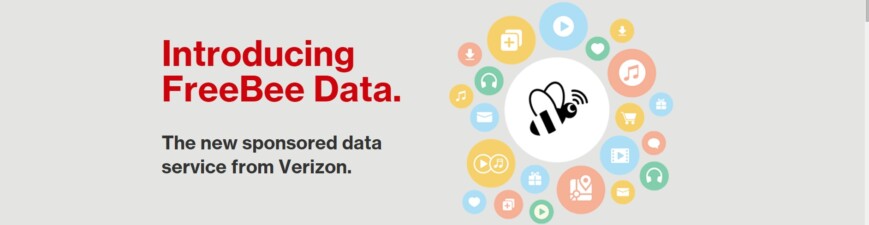 Verizon FreeBee Data