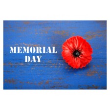 RingPlus Memorial Day 2016 Promotional Free Plans