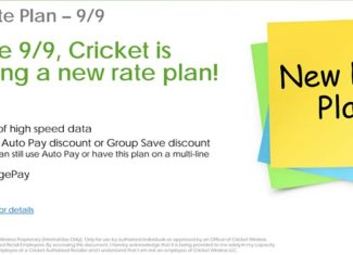 Cricket Wireless 30 dollar 1gb data plan