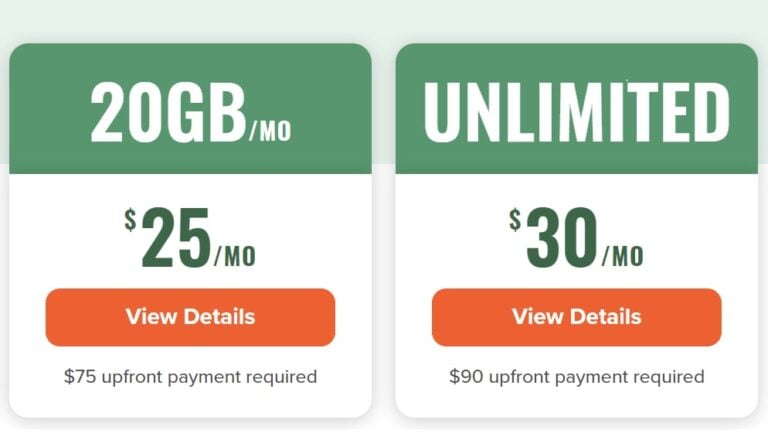 Mint Mobile - Fake Unlimited Data Plan